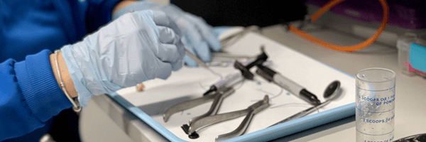 Dental Tray